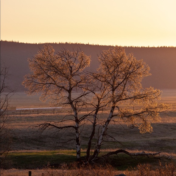 Meet your Posher, Andrea - Picture 1 of 1